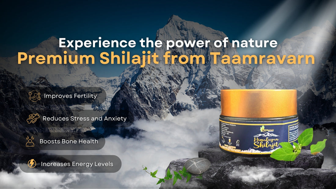 Experience the Power of Nature with Premium Shilajit from Taamravarn