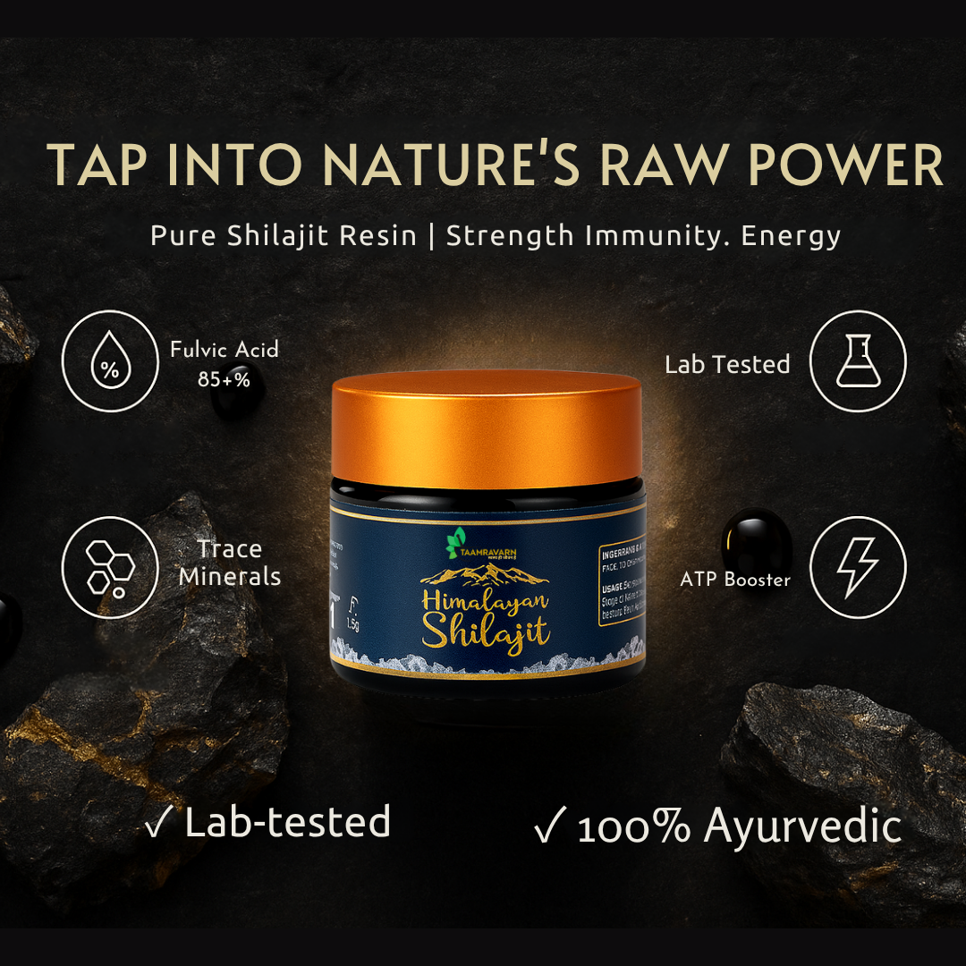 Himalayan Shilajit Resin – Pure Vitality & Energy Booster | Taamravarn (15gm)