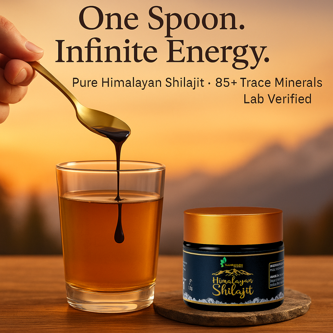 Himalayan Shilajit Resin – Pure Vitality & Energy Booster | Taamravarn (15gm)