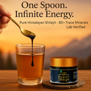 Himalayan Shilajit Resin – Pure Vitality & Energy Booster | Taamravarn (15gm)