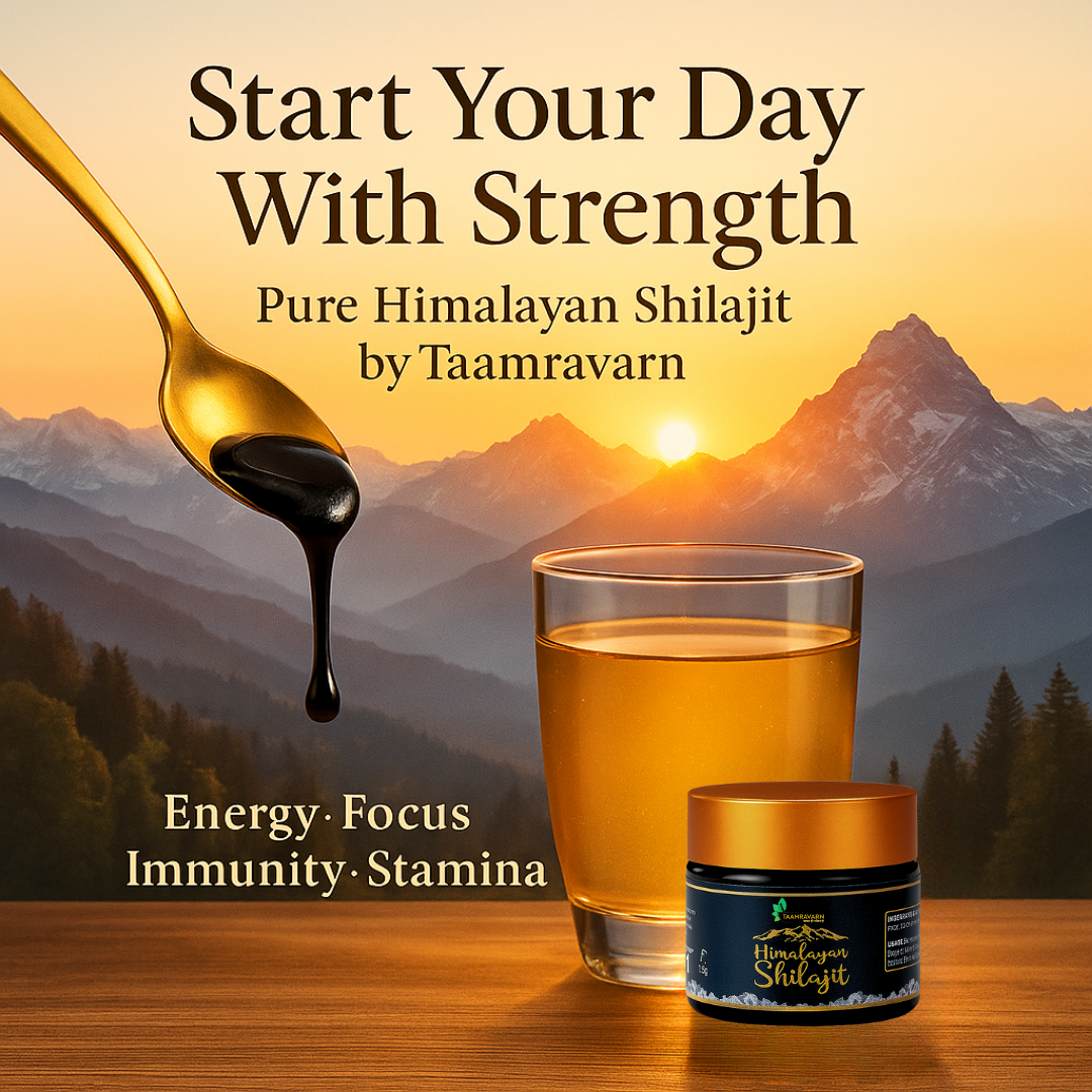 Himalayan Shilajit Resin – Pure Vitality & Energy Booster | Taamravarn (15gm)