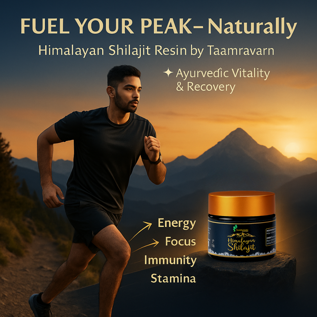 Himalayan Shilajit Resin – Pure Vitality & Energy Booster | Taamravarn (15gm)