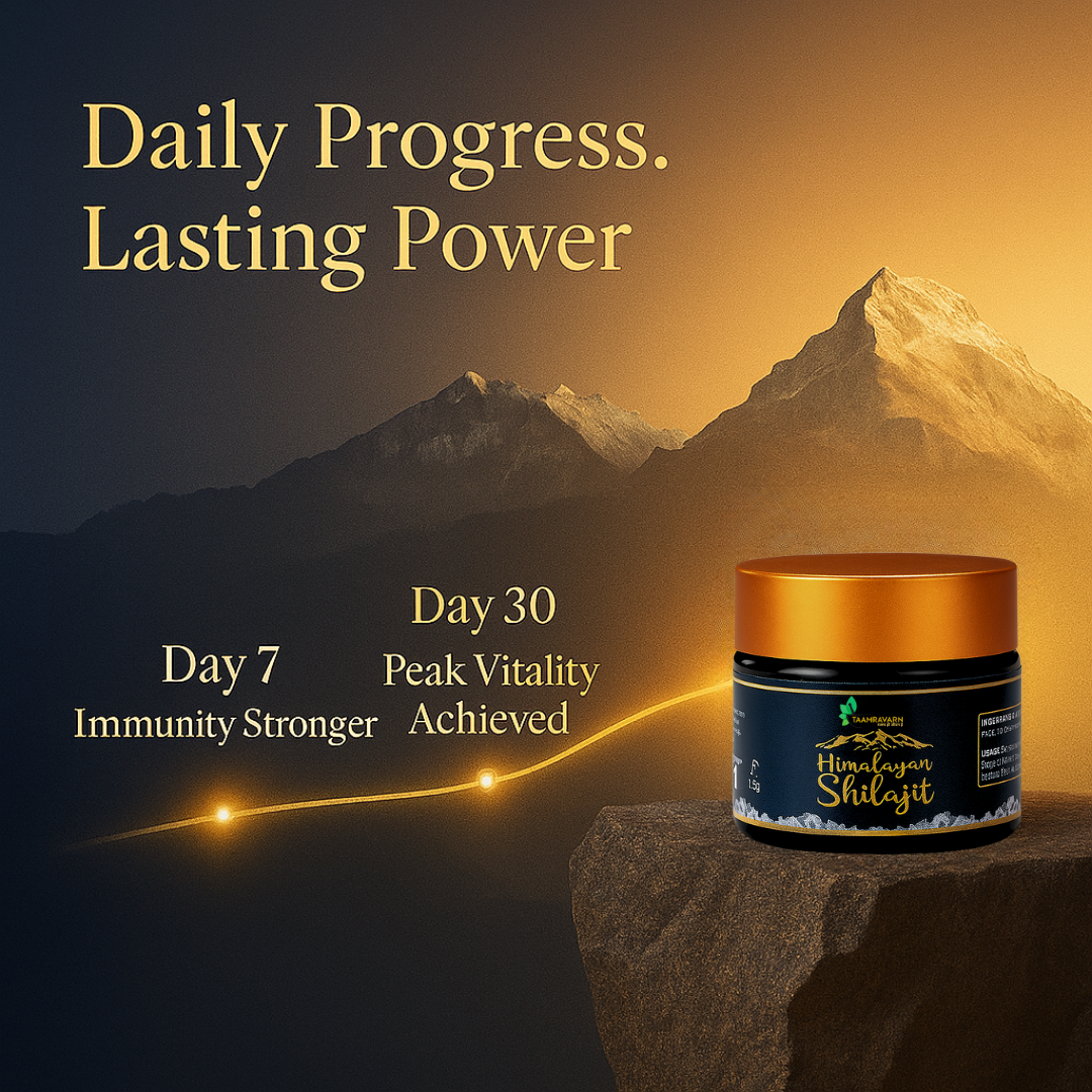 Himalayan Shilajit Resin – Pure Vitality & Energy Booster | Taamravarn (15gm)