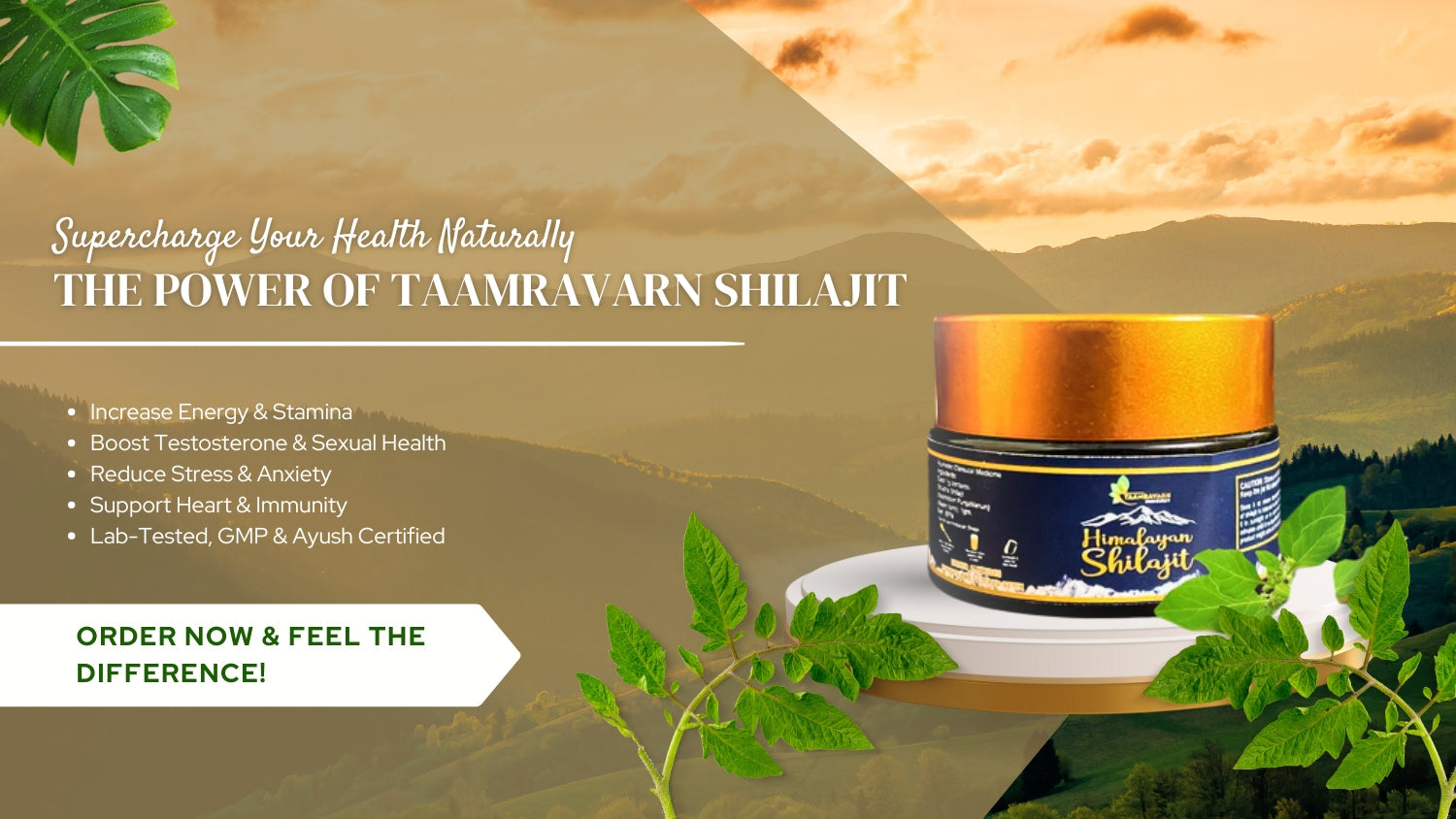 Why Indian Men Should Choose Taamravarn’s Shilajit—Pure, Potent, and Certified for Vitality