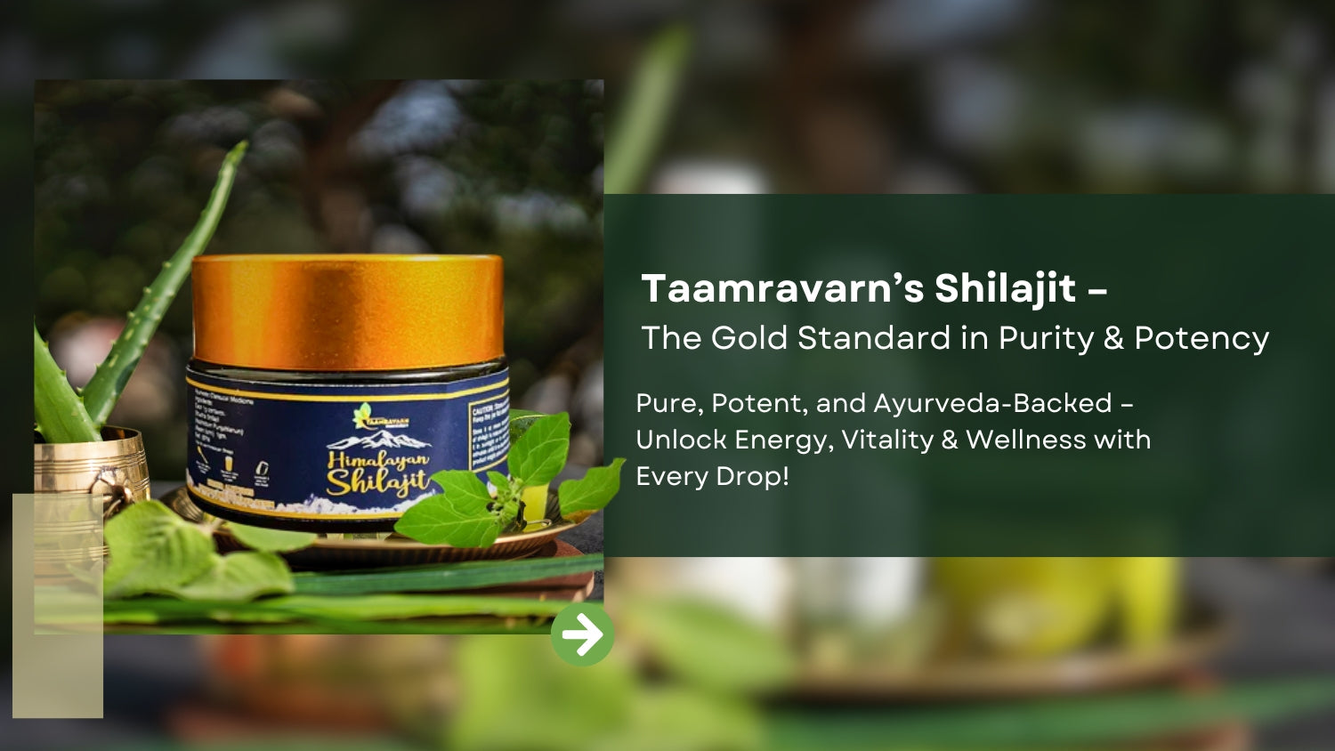 Why Taamravarn’s Shilajit Stands Out Among Leading Brands