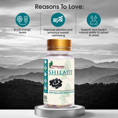 Taamravarn’s Shilajit – Pure, Potent, Certified (60 Capsules)