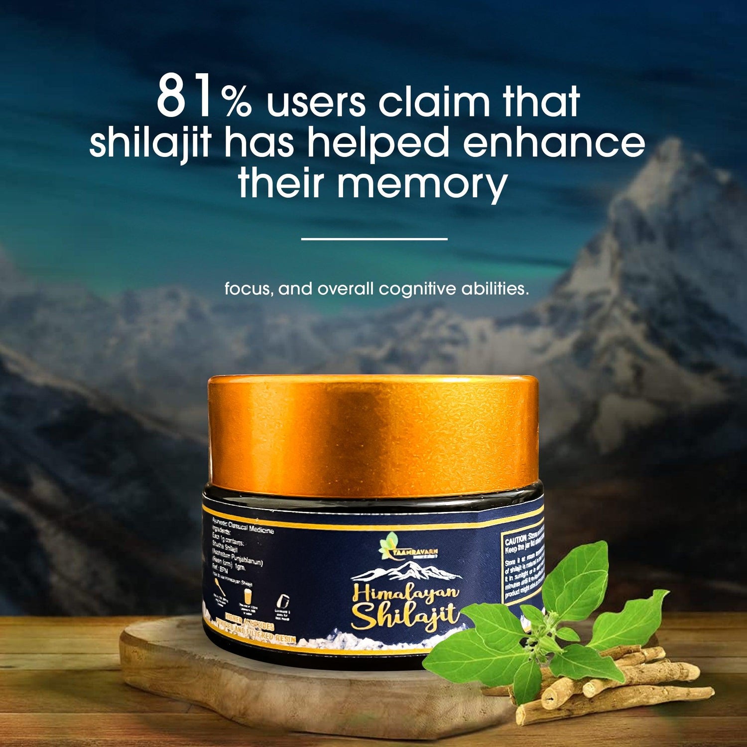 Taamravarn’s Shilajit – Pure, Potent, and Certified for Your Vitality